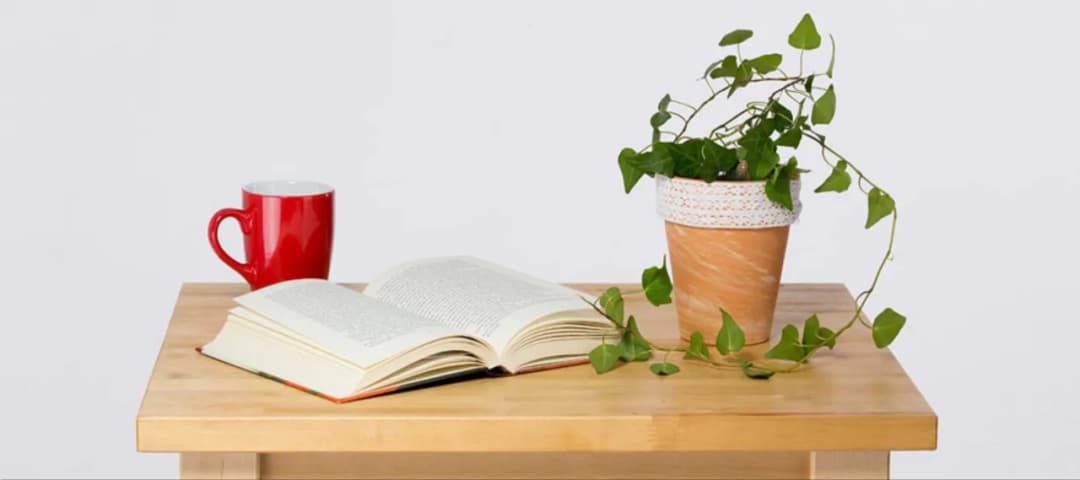 Stwórz piękną doniczkę boho DIY, która odmieni Twój dom